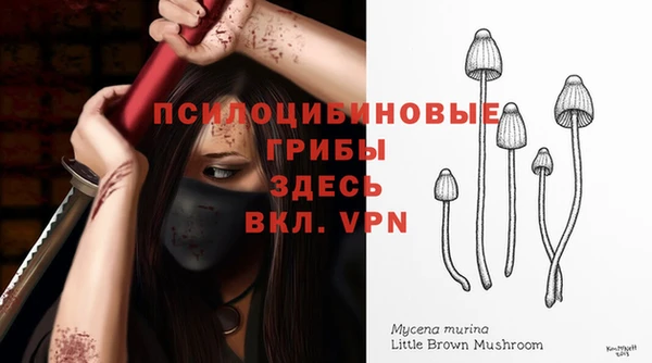 ГАЛЛЮЦИНОГЕННЫЕ ГРИБЫ Армянск