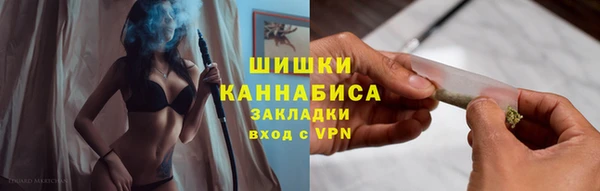 гашик Аркадак