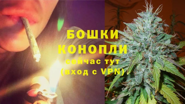гашик Аркадак