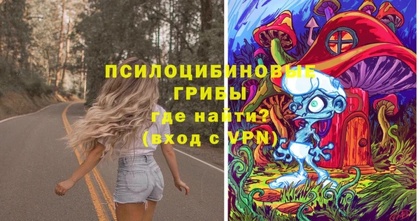 МДПВ Арсеньев