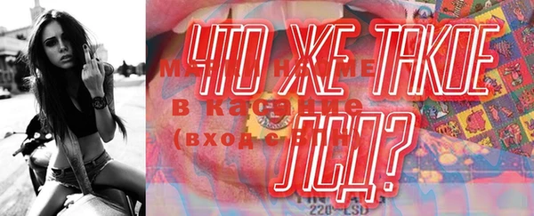 гашик Аркадак