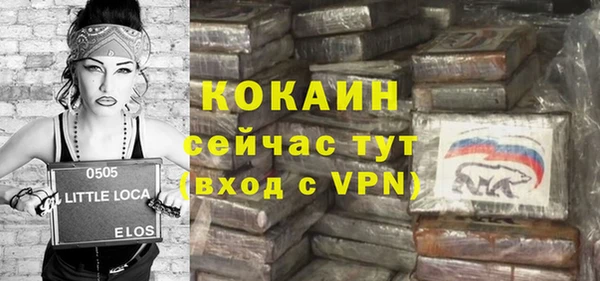 гашик Аркадак