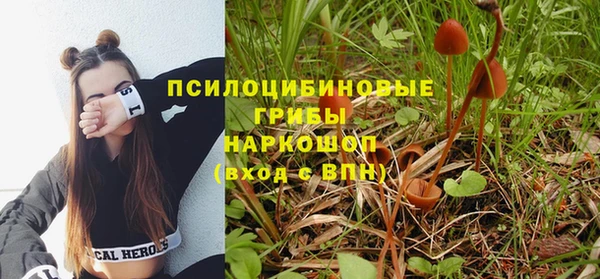 гашик Аркадак