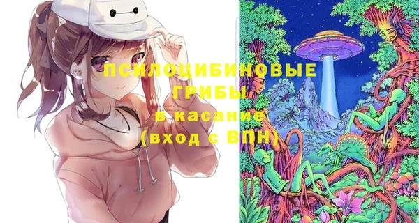 МДПВ Арсеньев