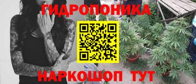 стафф Жуковский