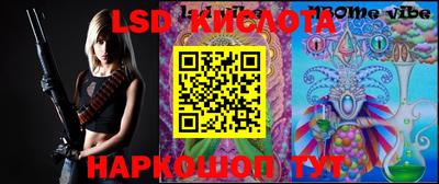 PSILOCYBIN Заволжье