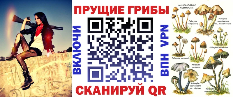 Псилоцибиновые грибы Psilocybine cubensis  продажа наркотиков  hydra как зайти  Новоалександровск 