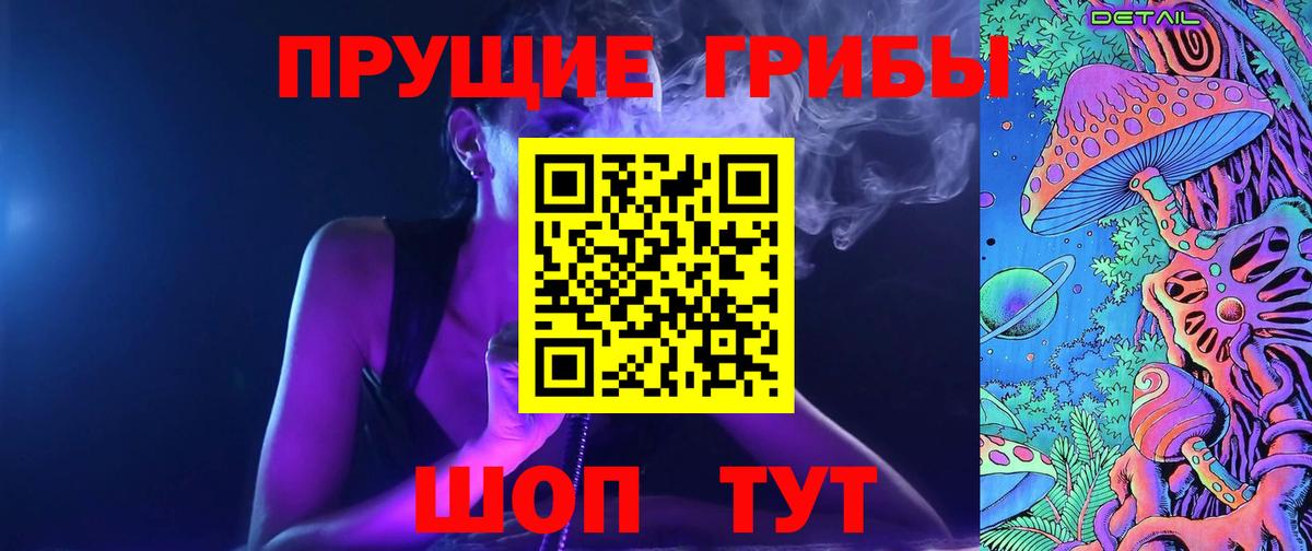 Галлюциногенные грибы Psilocybine cubensis Новоалександровск